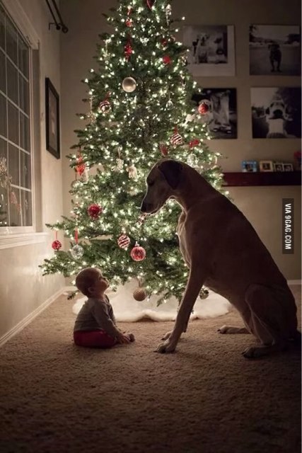 i20131214104007 (1).jpg